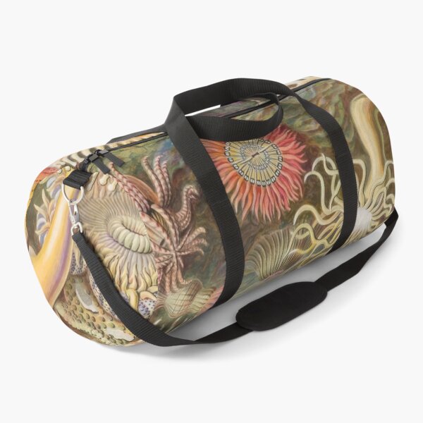 Item preview, Ernst Haeckel designed and sold by Art-KaBoom.