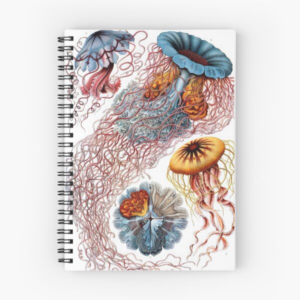 Item preview, Ernst Haeckel  designed and sold by Art-KaBoom.