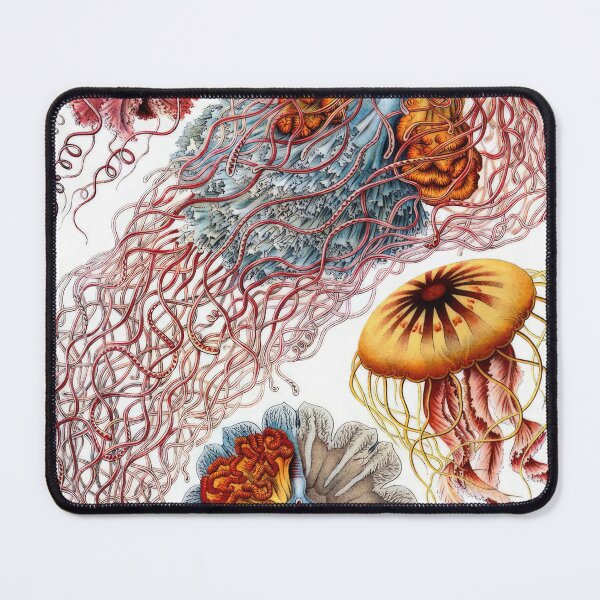 Item preview, Ernst Haeckel designed and sold by Art-KaBoom.