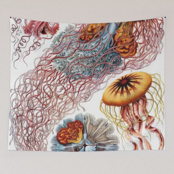 Item preview, Ernst Haeckel  designed and sold by Art-KaBoom.