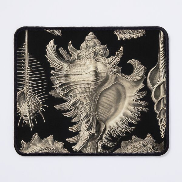 Item preview, Ernst Haeckel designed and sold by Art-KaBoom.