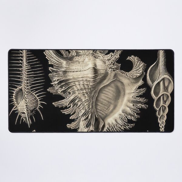 Item preview, Ernst Haeckel designed and sold by Art-KaBoom.