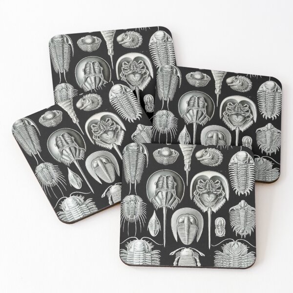 Item preview, Ernst Haeckel  designed and sold by Art-KaBoom.