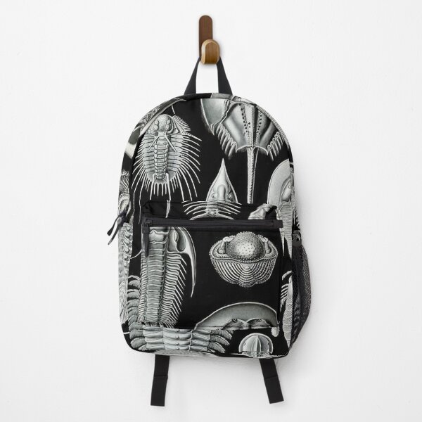 Item preview, Ernst Haeckel designed and sold by Art-KaBoom.