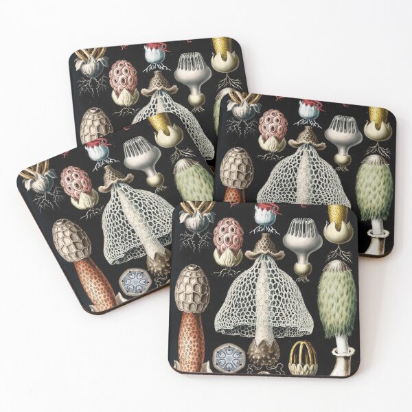 Item preview, Ernst Haeckel  designed and sold by Art-KaBoom.