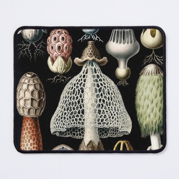 Item preview, Ernst Haeckel  designed and sold by Art-KaBoom.