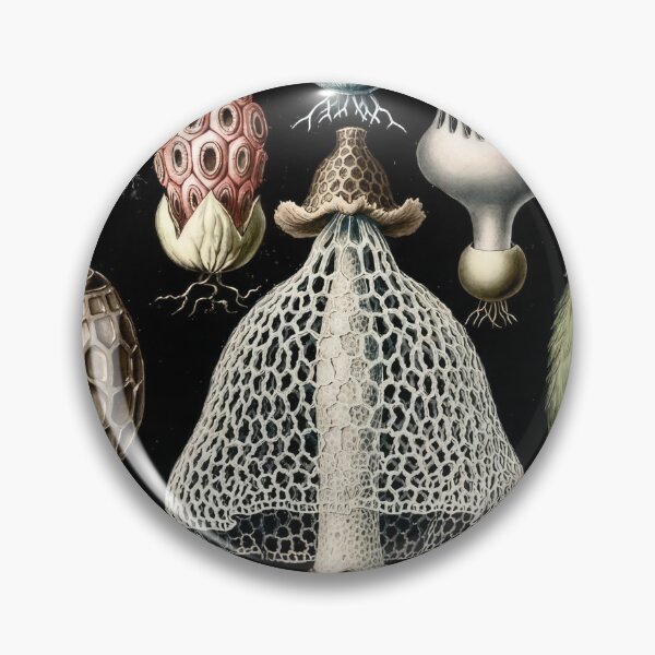 Item preview, Ernst Haeckel  designed and sold by Art-KaBoom.
