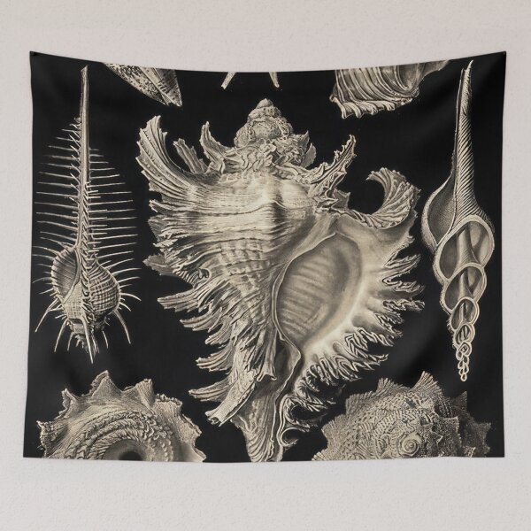 Item preview, Ernst Haeckel  designed and sold by Art-KaBoom.
