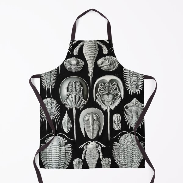 Item preview, Ernst Haeckel designed and sold by Art-KaBoom.