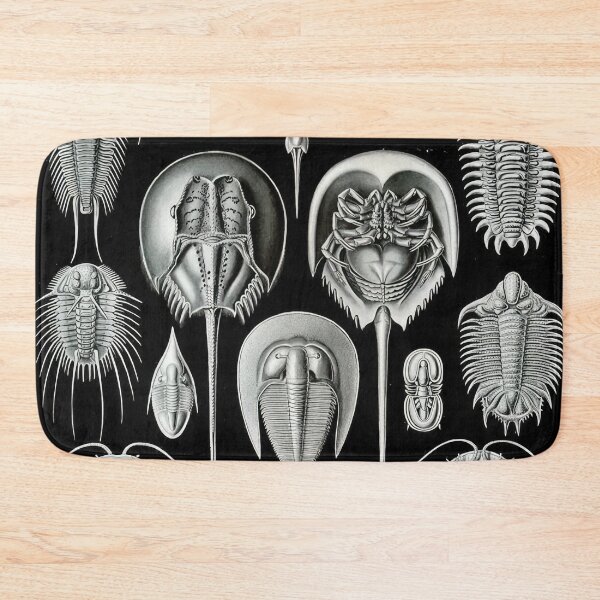 Item preview, Ernst Haeckel  designed and sold by Art-KaBoom.