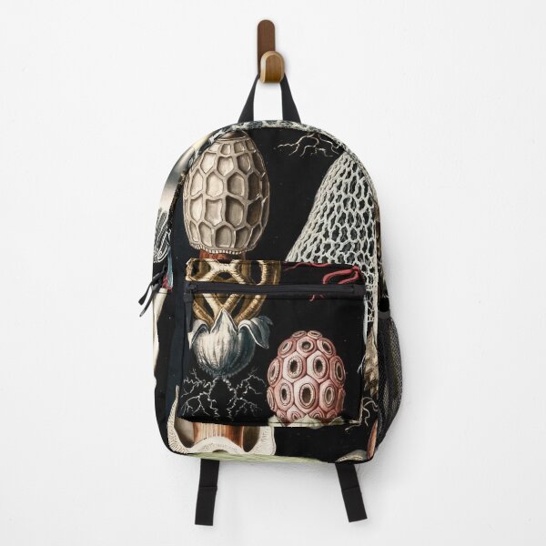 Item preview, Ernst Haeckel designed and sold by Art-KaBoom.