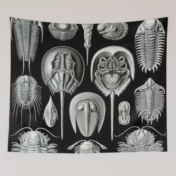 Item preview, Ernst Haeckel  designed and sold by Art-KaBoom.