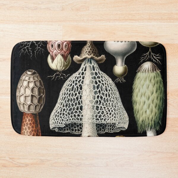 Item preview, Ernst Haeckel  designed and sold by Art-KaBoom.