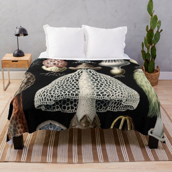 Item preview, Ernst Haeckel designed and sold by Art-KaBoom.