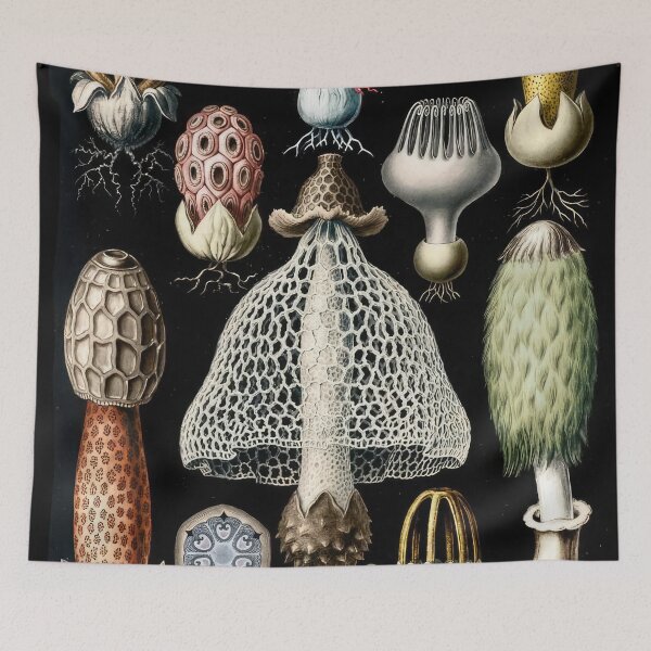 Item preview, Ernst Haeckel  designed and sold by Art-KaBoom.