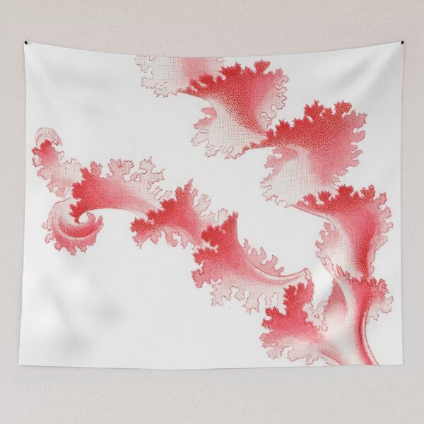 Item preview, Ernst Haeckel  designed and sold by Art-KaBoom.