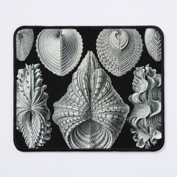Item preview, Ernst Haeckel designed and sold by Art-KaBoom.