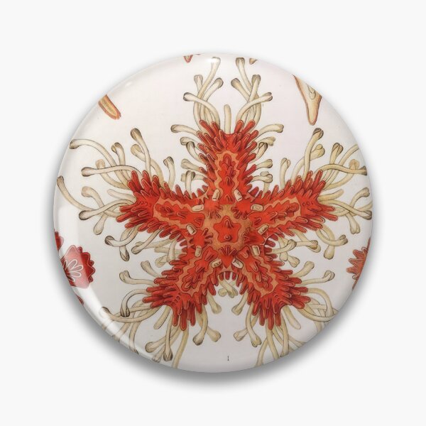 Item preview, Ernst Haeckel  designed and sold by Art-KaBoom.