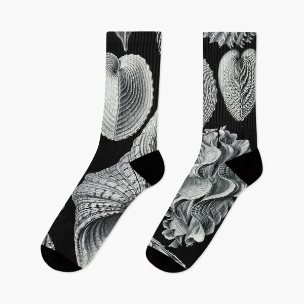 Item preview, Ernst Haeckel  designed and sold by Art-KaBoom.