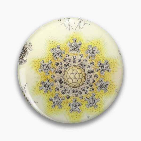 Item preview, Ernst Haeckel  designed and sold by Art-KaBoom.