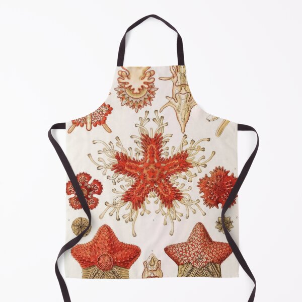 Item preview, Ernst Haeckel designed and sold by Art-KaBoom.