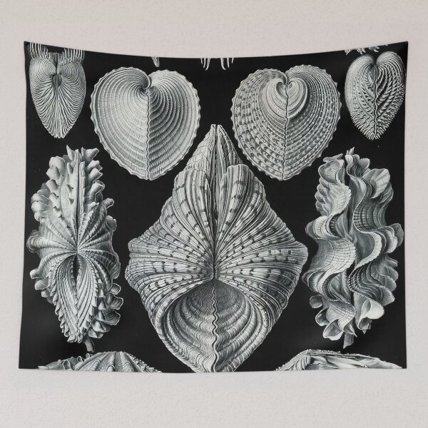 Item preview, Ernst Haeckel  designed and sold by Art-KaBoom.