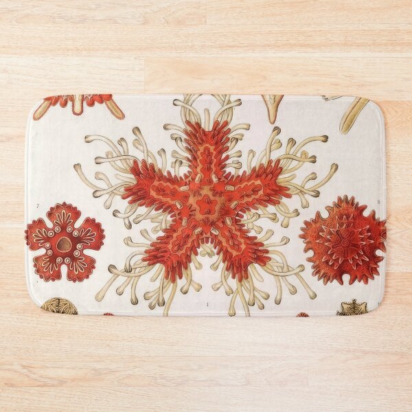 Item preview, Ernst Haeckel  designed and sold by Art-KaBoom.