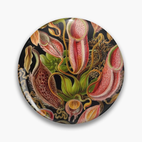 Item preview, Ernst Haeckel  designed and sold by Art-KaBoom.