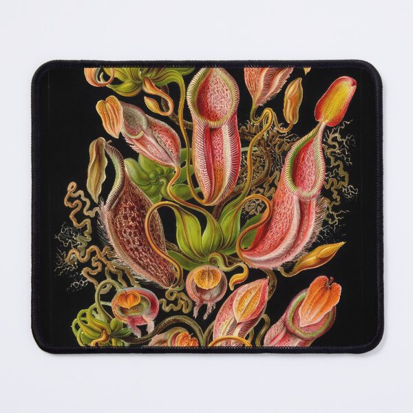 Item preview, Ernst Haeckel  designed and sold by Art-KaBoom.