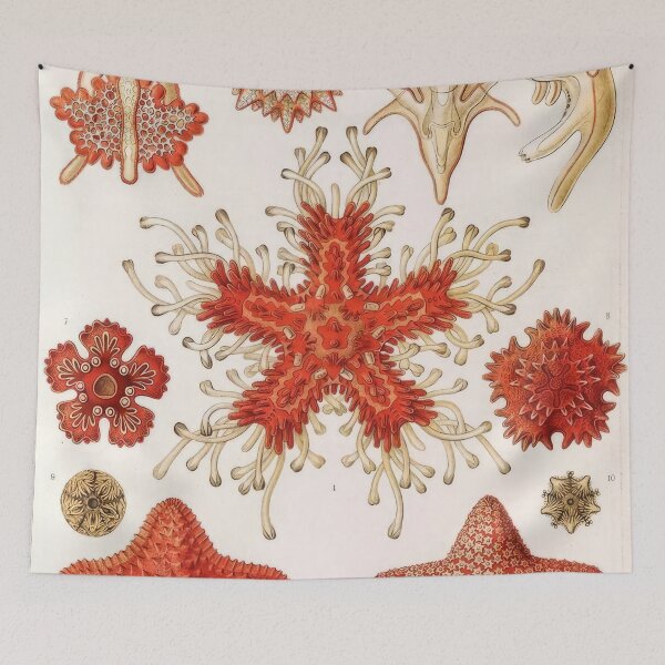 Item preview, Ernst Haeckel  designed and sold by Art-KaBoom.