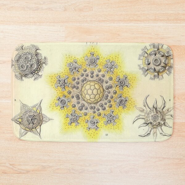 Item preview, Ernst Haeckel  designed and sold by Art-KaBoom.