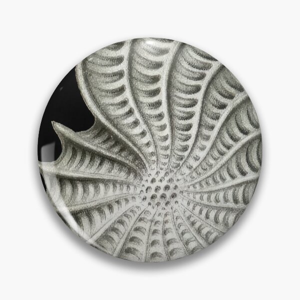 Item preview, Ernst Haeckel  designed and sold by Art-KaBoom.