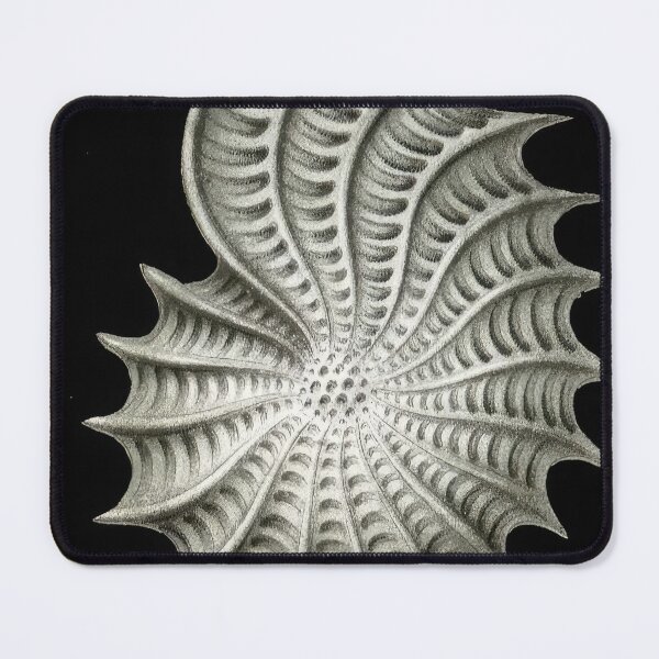 Item preview, Ernst Haeckel  designed and sold by Art-KaBoom.
