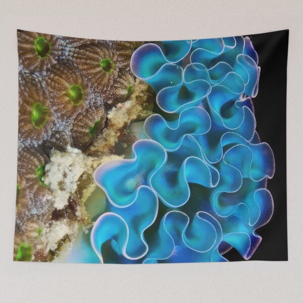 Item preview, Ernst Haeckel  designed and sold by Art-KaBoom.