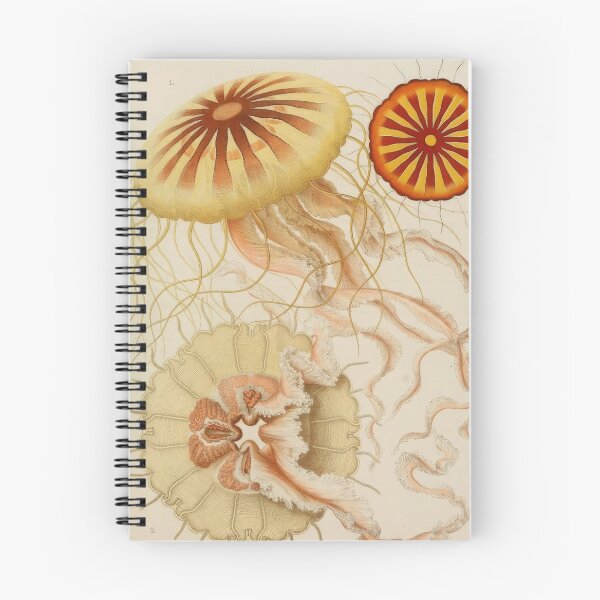 Item preview, Ernst Haeckel  designed and sold by Art-KaBoom.