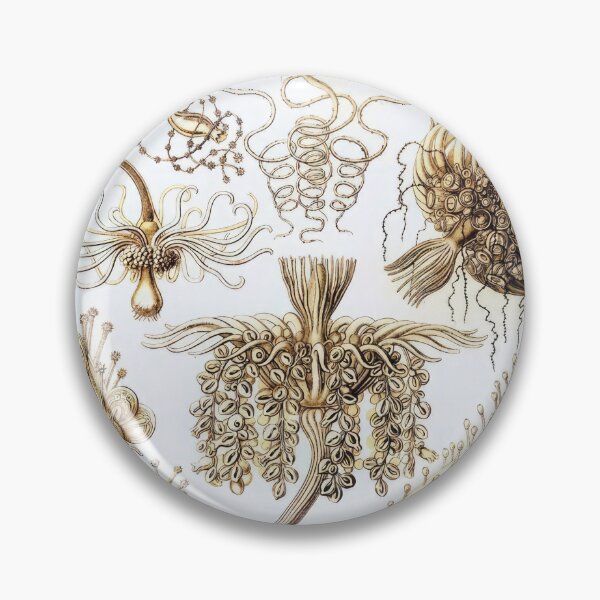 Item preview, Ernst Haeckel  designed and sold by Art-KaBoom.