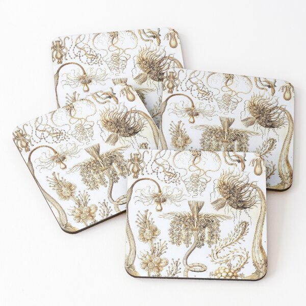 Item preview, Ernst Haeckel  designed and sold by Art-KaBoom.