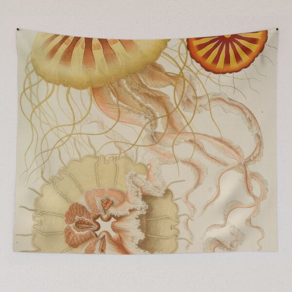 Item preview, Ernst Haeckel  designed and sold by Art-KaBoom.