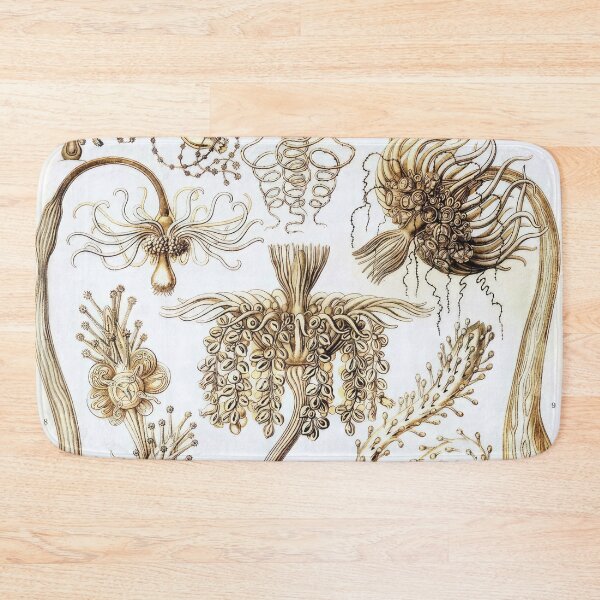 Item preview, Ernst Haeckel  designed and sold by Art-KaBoom.