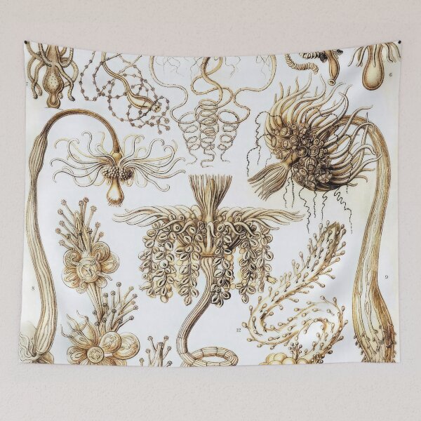Item preview, Ernst Haeckel  designed and sold by Art-KaBoom.
