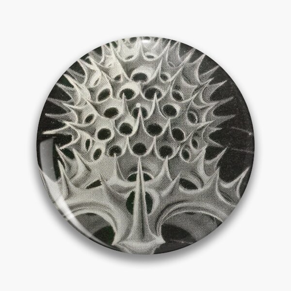 Item preview, Ernst Haeckel  designed and sold by Art-KaBoom.