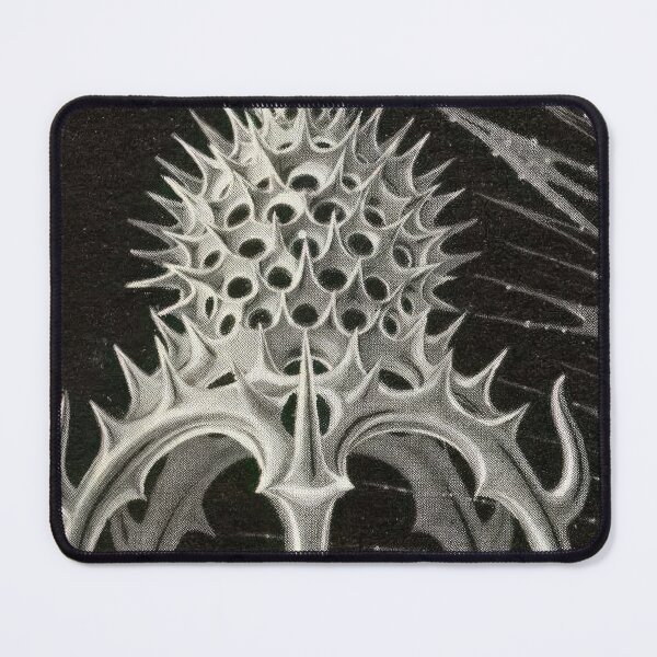 Item preview, Ernst Haeckel  designed and sold by Art-KaBoom.