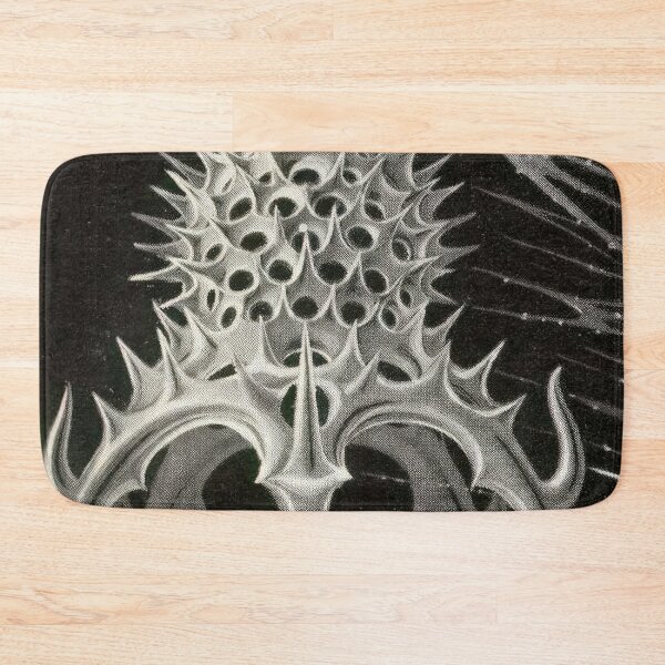 Item preview, Ernst Haeckel  designed and sold by Art-KaBoom.