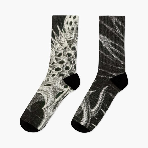 Item preview, Ernst Haeckel  designed and sold by Art-KaBoom.