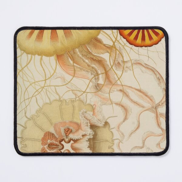 Item preview, Ernst Haeckel designed and sold by Art-KaBoom.