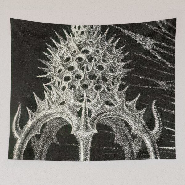 Item preview, Ernst Haeckel  designed and sold by Art-KaBoom.