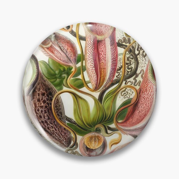 Item preview, Ernst Haeckel  designed and sold by Art-KaBoom.