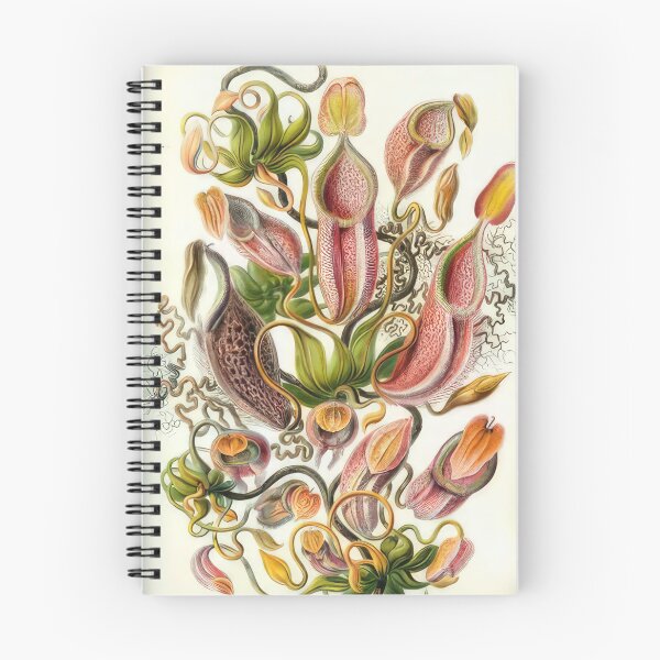 Item preview, Ernst Haeckel  designed and sold by Art-KaBoom.