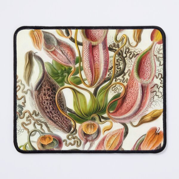 Item preview, Ernst Haeckel designed and sold by Art-KaBoom.