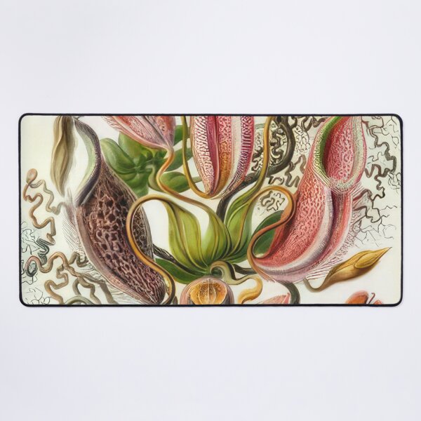 Item preview, Ernst Haeckel  designed and sold by Art-KaBoom.